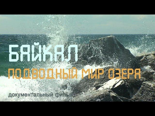 Сибирь. Подводный мир Байкала. Бычок-желтокрылка. Остров Ольхон. Эндемики Байкала. Nature of Russia.