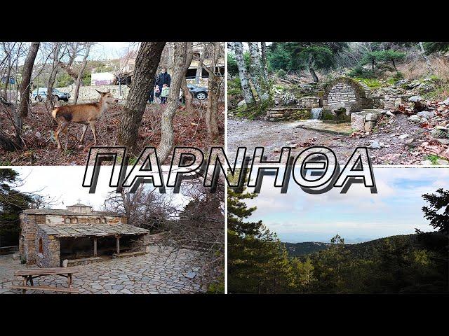 Πάρνηθα - Τα ωραιότερα σημεία του Εθνικού Δρυμού