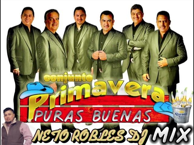 CONJUNTO PRIMAVERA MIX puras buenas By;Neto Robles Dj