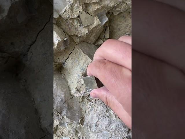 Inside the mine!!!! Watch me pull a perfect Cubic Pyrite crystal at the mine. #pyrite #minerals #fyp
