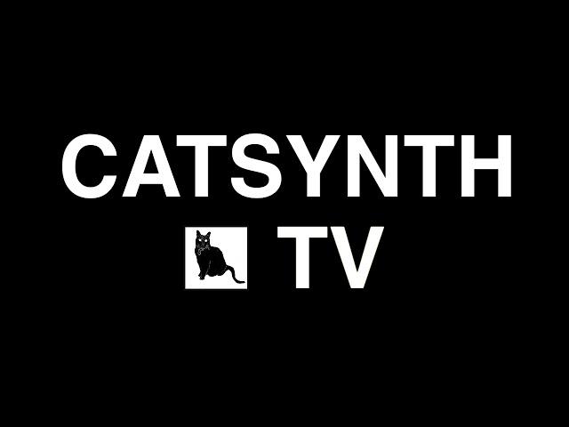 CatSynth TV!