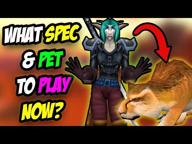 How BAD Was The Nerf & What Spec, Pet Do We Use Now?