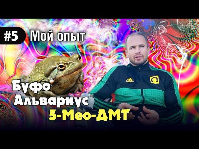 Мой первый опыт "Буфо Альвариус".Исчезновение.