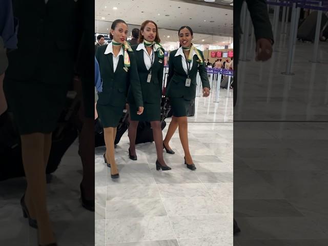 Any comments about Ethiopian Airlines crew  #shorts #Ethiopian #cabincrew  #magicofnature‍️️