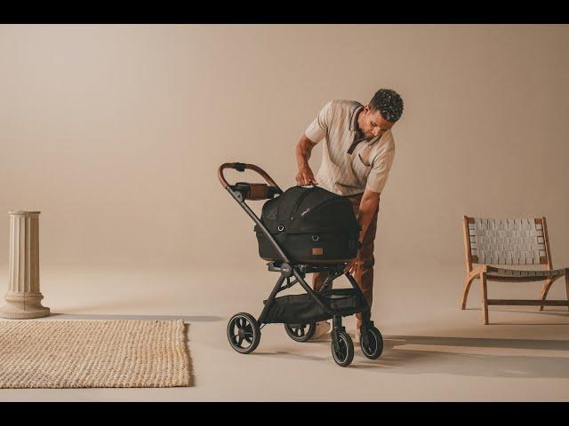 Tavo Pets | Go the distance together with the Roscoe pet stroller