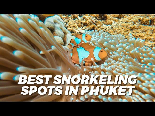 Best Snorkeling Spots In Phuket Thailand