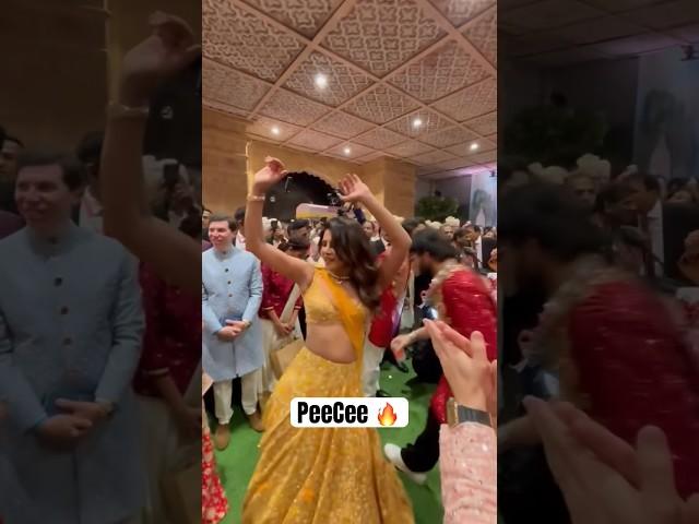 Priyanka Chopra DANCE to Chikni Chameli at Ambani wedding  #priyankachopra #ambaniwedding #viral