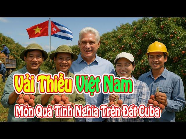 Vải Thiều Việt Nam – Món Quà Tình Nghĩa Trên Đất Cuba