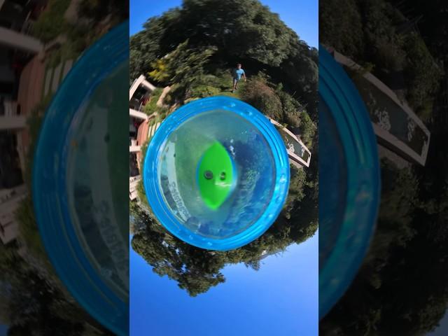 360 Camera on a Frisbee #insta360x4 #dog