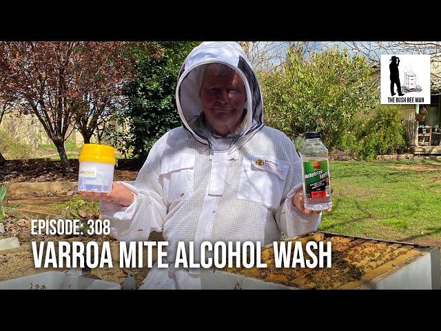 How to Alcohol Wash to Detect Varroa Mites - Alcohol Mite Wash  | The Bush Bee Man