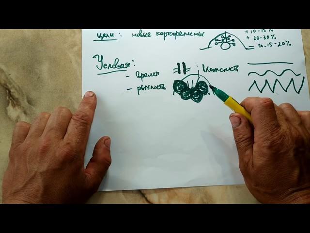 Как не надо окучивать картофель (и как надо)?