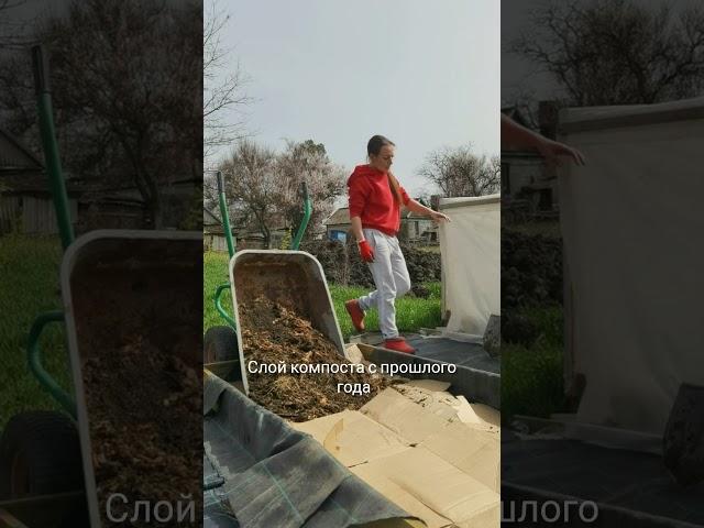 Первая грядка огорода мечты готова!