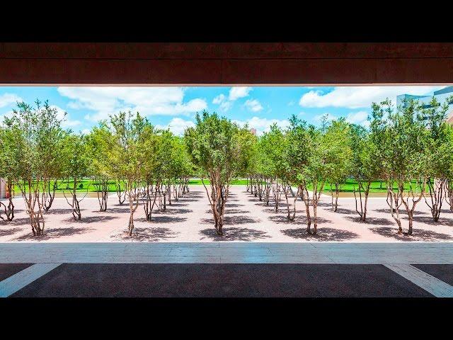 Harriet Pattison Projects: The Kimbell Art Museum [1 of 8]