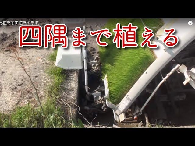 四隅まで植える田植えの手順