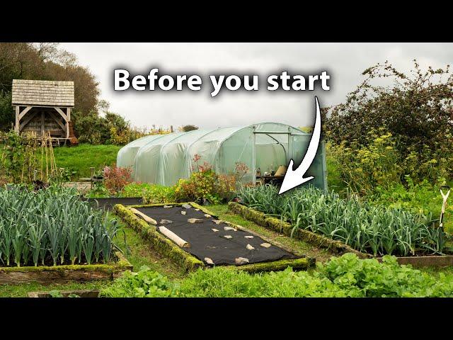 Creating a Vegetable Garden? 3 Things You Can't Afford to Ignore