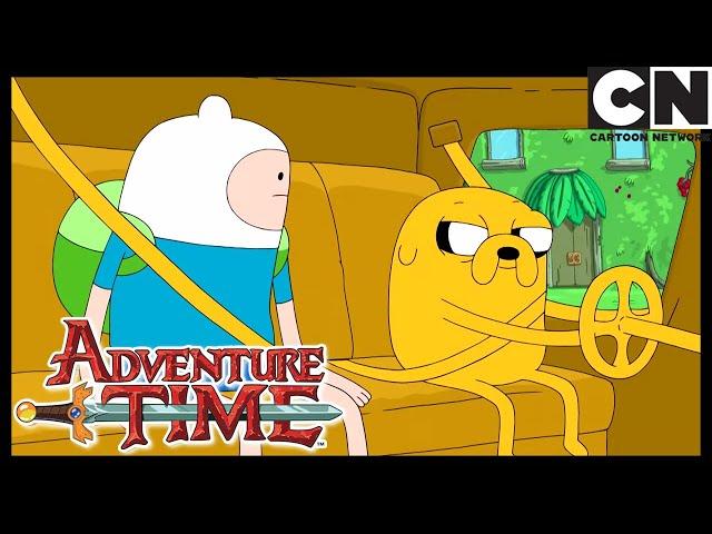 Furniture & Meat | Adventure Time | Cartoon Network