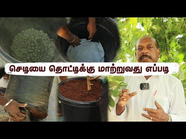 50% மக்கள் மாடித்தோட்டத்தில் இதை செய்வதில்லை? DIY: Your Terrace Garden Potting Technique 🪴