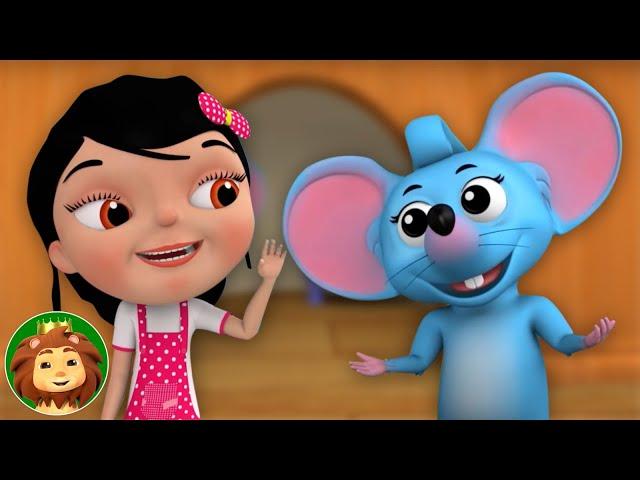 Chuhiya Rani, म्याऊ म्याऊ बिल्ली करती + Best Hindi Nursery Rhymes Collections