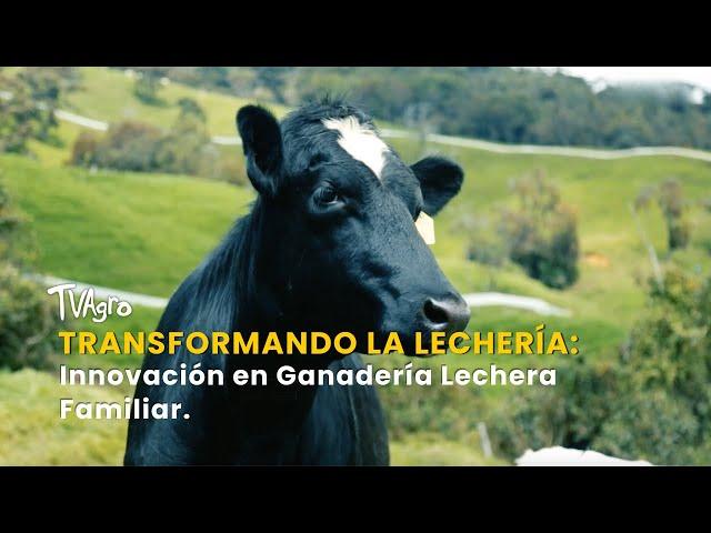 Transformando la Lechería: Innovación en Ganadería Lechera Familiar - TvAgro por Juan Gonzalo Angel