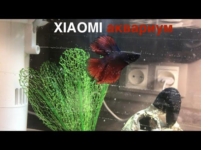 Аквариум xiaomi. Обзор на маленький аквариум xiaomi Мини аквариум - xiaomi акваферма обзор Аквариум