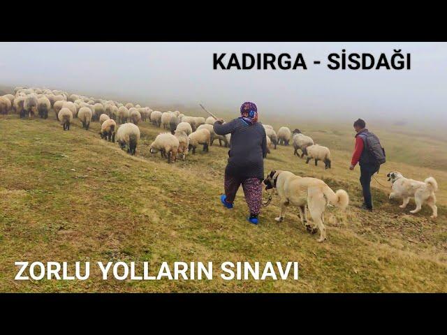 Anadolu'da Yaşam || Göç 1.Bölüm