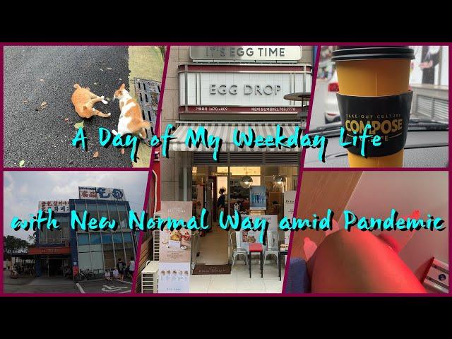 [Busan Korea] A Day of My Weekday Life with New Normal amid Pandemic Worldwide / 새로운 어느 하루의 일상 