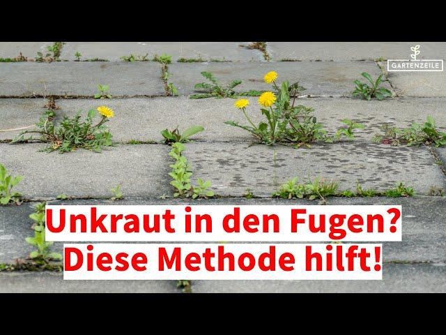 Unkraut in Fugen bekämpfen - das hilft wirklich dauerhaft!