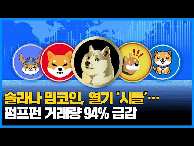 솔라나 밈코인, 열기 '시들'…펌프펀 거래량 94% 급감