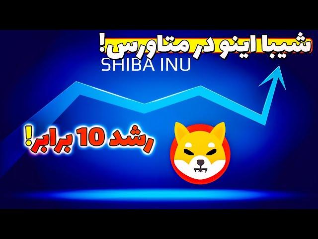 اخبار بسیار مهم شیبا اینو ورود به متاورس | تحلیل امروز ارز دیجیتال شیبا رشد 1000 درصدی نزدیکه