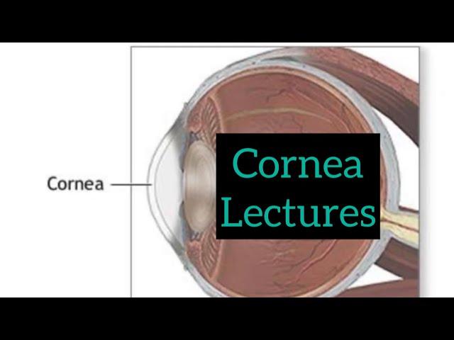 Cornea lectures part 1, Eye lectures / Jatoi / Opthalmology lectures #eyelectures #cornea #eye