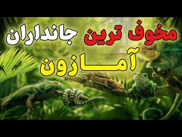 عجیب ترین جانداران آمازون | آیا حاضرید به این جنگل سفر کنید؟