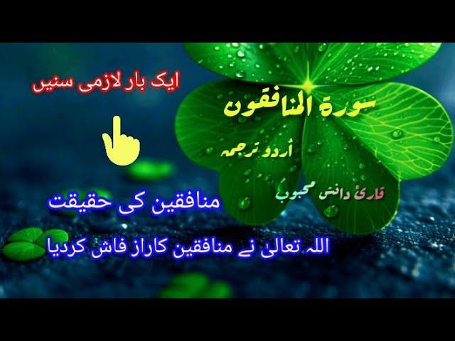 SURAH Munafiqoon | QARI DANISH MEHBOOB | QURAN RECITING | FOLLOW ISLAMIC CHANNEL