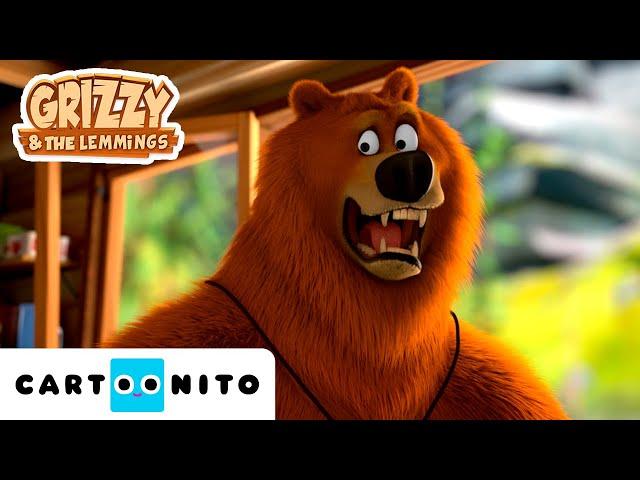 Grizzy e os Lemingues | Pipocas e música | Cartoonito