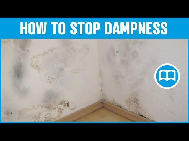 Damp proof paint bathrooms damp basement cures and prevents dampness