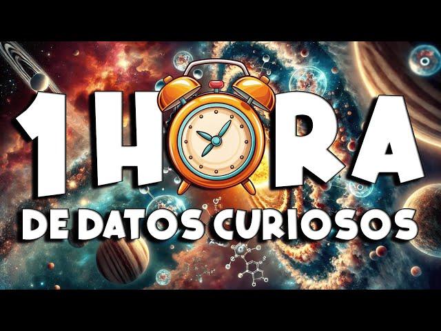 ¡ 1 HORA sin pausas de DATOS CURIOSOS y COSAS QUE NO SABÍAS ! ⏰ 116 #curiomaníatv