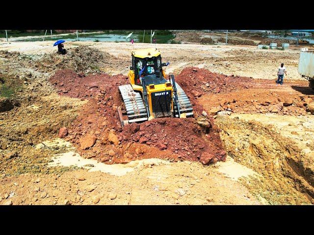 Best SHANTUI Bulldozer Work Pushing Soil With 24ton Dump Trucks dumping Soil build foundation road