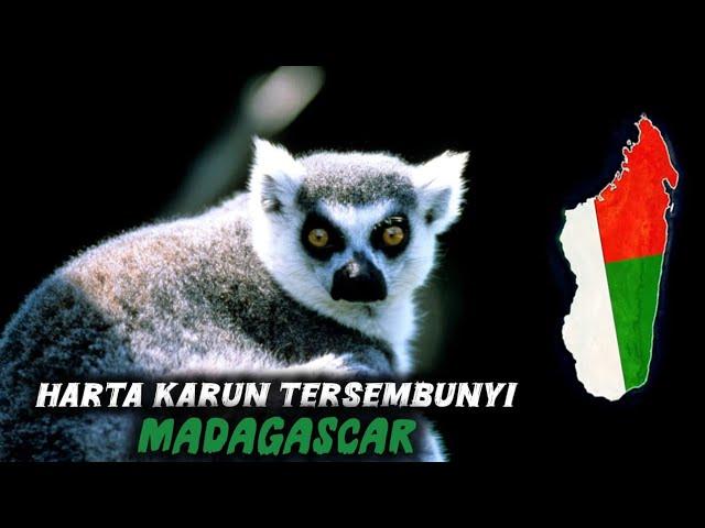 Harta Karun Spesies Endemik: Pulau Madagascar!‎