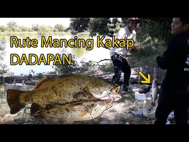 Rute Mancing ikan kakap dadapan I Spot mancing kakap ,pelak,cukil,baramundi sidoarjo