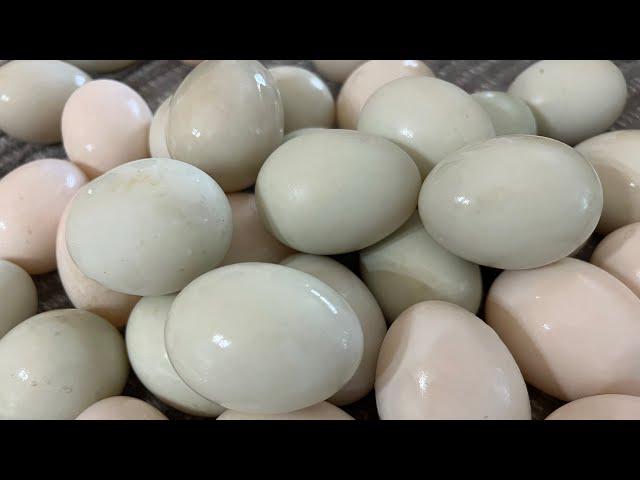 Preserving eggs for winter.    - water glassing & oiling