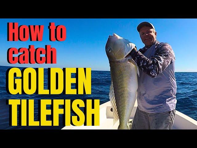 How to catch GOLDEN TILEFISH