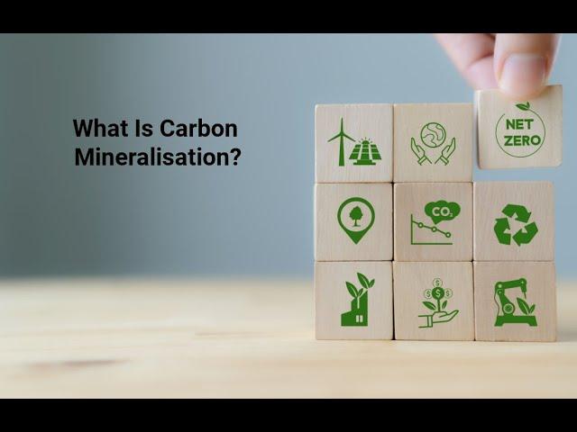 What Is Carbon Mineralisation?