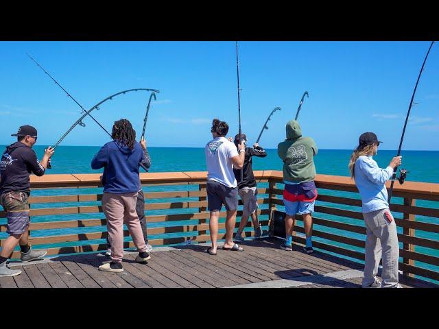 My Addiction To Chaos! (Florida Pier Catch Clean & Cook)