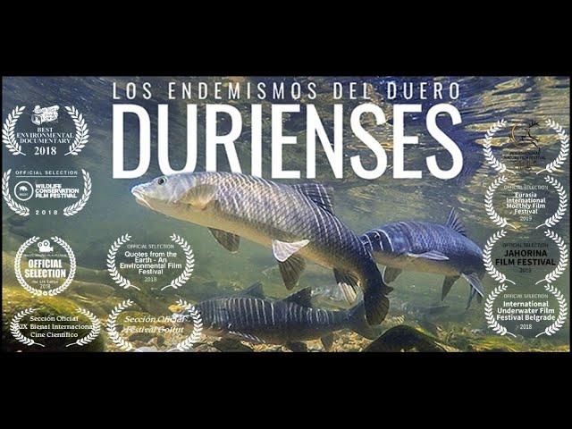 DURIENSES: Los Endemismos del Duero