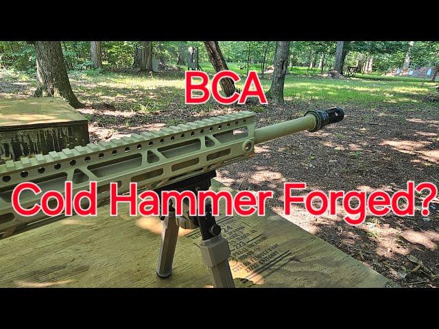 Bear Creek Arsenal: Cold Hammer Forged 20" 308 Barrel.. Can It Shoot?......