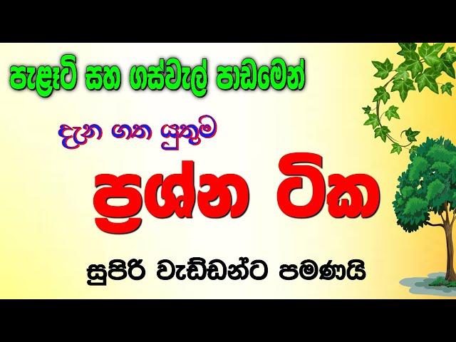 පැළෑටි ගස් වැල් පාඩමෙන් ඔබ දැන සිටි යුතුම ප්‍රශ්න ටික - shishyathwaya hari lesi 2021