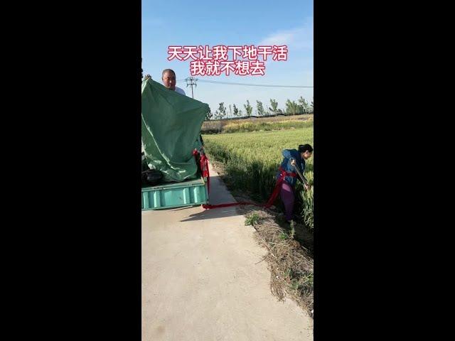 #Quick Growth Plan #Shadow Play Future Star #Village Fun #Funny Couple 666