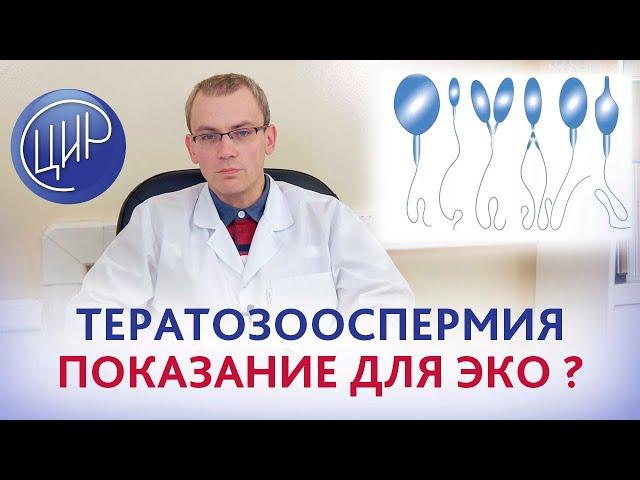 Тератозооспермия 2% - показание для ЭКО или самостоятельная беременность? А.Р. Живулько.