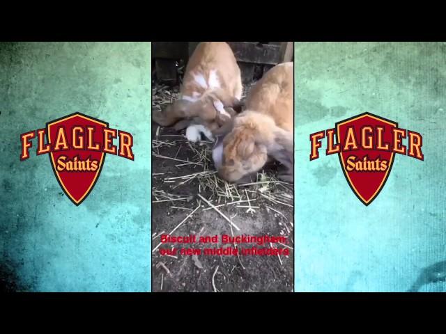 Flagler College Saints on the streets of St. Augustine