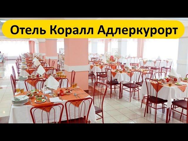 Адлер, Сочи, отзыв об отеле Коралл Адлеркурорт - номер, питание, море!!!