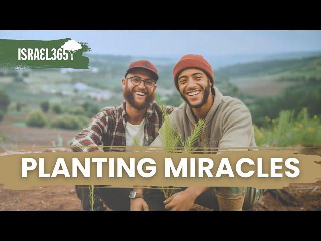 Fulfilling Prophecy by Planting Trees in Israel